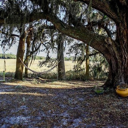 Secluded Tiny House By The Marsh With Hunting Island Beach Pass Frogmore 外观 照片