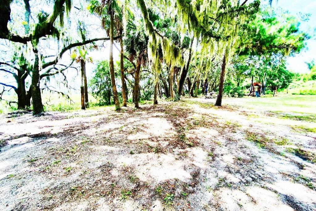 Secluded Tiny House By The Marsh With Hunting Island Beach Pass Frogmore 外观 照片